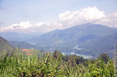 Le lac et les plantations de thé à Nuwara ellia